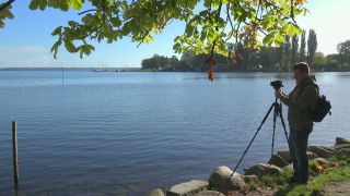 Link to Video | Mecklenburg-Western Pomerania, Schwerin, Germany, city