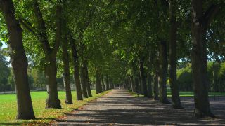 Link to Video | Mecklenburg-Western Pomerania, Schwerin, Germany, city