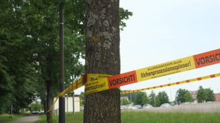 Link to Video