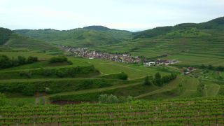 Link to Video | landscape, cultural landscape, landscape element, Southern Black Forest, vineyard location, Germany, wine-producing region, vineyard, viticulture, landform, Mittelgebirge, Breisgau, Kaiserstuhl, Baden-Württemberg