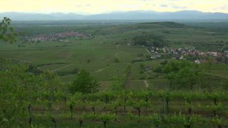 Link to Video | landscape, cultural landscape, landscape element, Southern Black Forest, vineyard location, Germany, wine-producing region, vineyard, viticulture, landform, Mittelgebirge, Breisgau, Kaiserstuhl, Baden-Württemberg