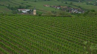 Link to Video | landscape, cultural landscape, landscape element, Southern Black Forest, vineyard location, Germany, wine-producing region, vineyard, viticulture, landform, Mittelgebirge, Breisgau, Kaiserstuhl, Baden-Württemberg