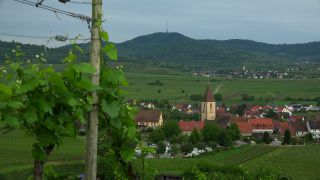 Link to Video | landscape, cultural landscape, landscape element, Southern Black Forest, vineyard location, Germany, wine-producing region, vineyard, viticulture, landform, Mittelgebirge, Breisgau, Kaiserstuhl, Baden-Württemberg