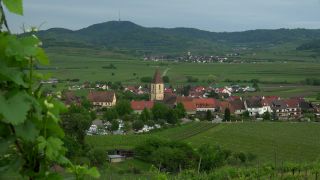 Link to Video | landscape, cultural landscape, landscape element, Southern Black Forest, vineyard location, Germany, wine-producing region, vineyard, viticulture, landform, Mittelgebirge, Breisgau, Kaiserstuhl, Baden-Württemberg
