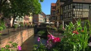 Link to Video | Alsace, Haut-Rhin, Colmar, France, Grand Est, Alsace-Moselle