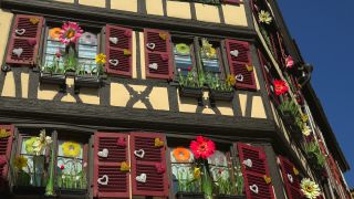 Link to Video | Alsace, Haut-Rhin, Colmar, France, Grand Est, Alsace-Moselle