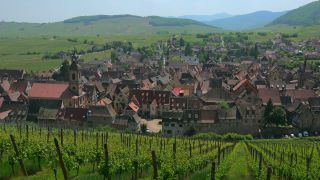 Link to Video | Alsace, France, Riquewihr, vineyard location, Grand Est, wine-producing region, viticulture, French wine