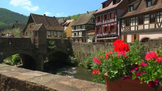 Link to Video | Alsace, France, Grand Est, Kaysersberg