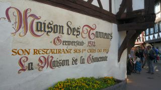 Link to Video | Alsace, France, big city, Grand Est, arrondissement of Strasbourg, Strasbourg, Ill