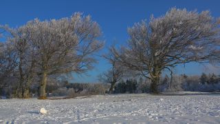 Link to Video | landscape, winter, territorial entity, landscape element, Germany, landform, Black Forest, forest, mountain range, Mittelgebirge, snow, nature, Baden-Württemberg