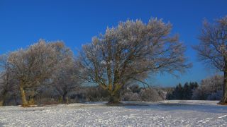 Link to Video | landscape, winter, territorial entity, landscape element, Germany, landform, Black Forest, forest, mountain range, Mittelgebirge, snow, nature, Baden-Württemberg