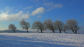 Link to Video | landscape, winter, territorial entity, landscape element, Germany, landform, Black Forest, forest, mountain range, Mittelgebirge, snow, nature, Baden-Württemberg