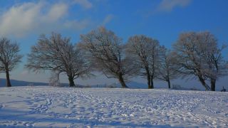 Link to Video | landscape, winter, territorial entity, landscape element, Germany, landform, Black Forest, forest, mountain range, Mittelgebirge, snow, nature, Baden-Württemberg