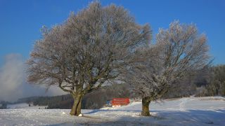 Link to Video | landscape, winter, territorial entity, landscape element, Germany, landform, Black Forest, forest, mountain range, Mittelgebirge, snow, nature, Baden-Württemberg