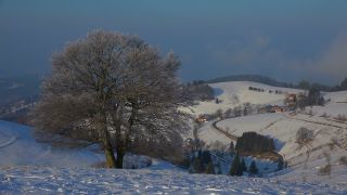 Link to Video | landscape, winter, territorial entity, landscape element, Germany, landform, Black Forest, forest, mountain range, Mittelgebirge, snow, nature, Baden-Württemberg