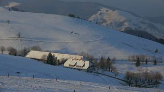Link to Video | landscape, winter, territorial entity, landscape element, Germany, landform, Black Forest, forest, mountain range, Mittelgebirge, snow, nature, Baden-Württemberg