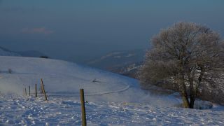 Link to Video | landscape, winter, territorial entity, landscape element, Germany, landform, Black Forest, forest, mountain range, Mittelgebirge, snow, nature, Baden-Württemberg