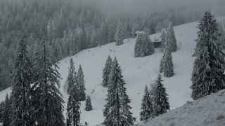 Link to Video | landscape, winter, territorial entity, landscape element, Germany, landform, Black Forest, forest, mountain range, Mittelgebirge, snow, nature, Baden-Württemberg