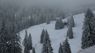 Link to Video | landscape, winter, territorial entity, landscape element, Germany, landform, Black Forest, forest, mountain range, Mittelgebirge, snow, nature, Baden-Württemberg
