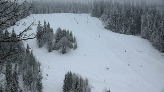 Link to Video | landscape, winter, territorial entity, landscape element, Germany, landform, Black Forest, forest, mountain range, Mittelgebirge, snow, nature, Baden-Württemberg