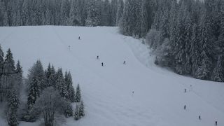 Link to Video | landscape, winter, territorial entity, landscape element, Germany, landform, Black Forest, forest, mountain range, Mittelgebirge, snow, nature, Baden-Württemberg
