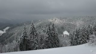 Link to Video | landscape, winter, territorial entity, landscape element, Germany, landform, Black Forest, forest, mountain range, Mittelgebirge, snow, nature, Baden-Württemberg