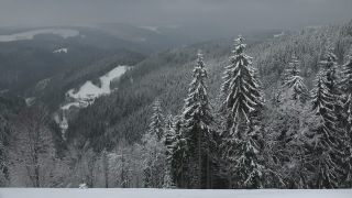 Link to Video | landscape, winter, territorial entity, landscape element, Germany, landform, Black Forest, forest, mountain range, Mittelgebirge, snow, nature, Baden-Württemberg