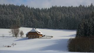 Link to Video | landscape, winter, territorial entity, landscape element, Germany, landform, Black Forest, forest, mountain range, Mittelgebirge, snow, nature, Baden-Württemberg