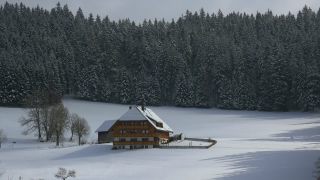 Link to Video | landscape, winter, territorial entity, landscape element, Germany, landform, Black Forest, forest, mountain range, Mittelgebirge, snow, nature, Baden-Württemberg