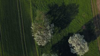 Link to Video | landscape, nature