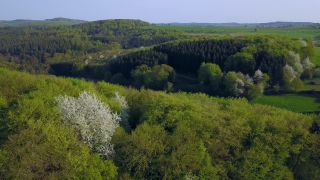 Link to Video | landscape, nature