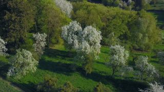 Link to Video | landscape, nature