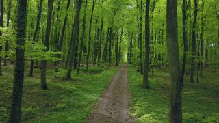 Link to Video | landscape, nature