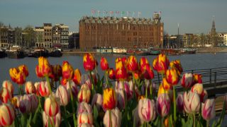 Link to Video | big city, Kingdom of the Netherlands, capital city, gracht, Netherlands, North Holland, Amsterdam
