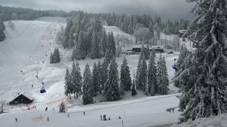 Link to Video | landscape, winter, landscape element, Germany, season, landform, Black Forest, mountain range, Mittelgebirge, nature, Baden-Württemberg