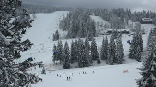 Link to Video | landscape, winter, landscape element, Germany, season, landform, Black Forest, mountain range, Mittelgebirge, nature, Baden-Württemberg