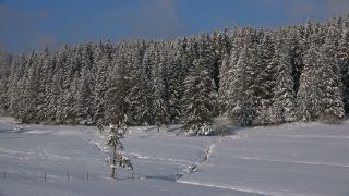 Link to Video | landscape, winter, landscape element, Germany, season, landform, Black Forest, mountain range, Mittelgebirge, nature, Baden-Württemberg