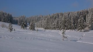 Link to Video | landscape, winter, landscape element, Germany, season, landform, Black Forest, mountain range, Mittelgebirge, nature, Baden-Württemberg