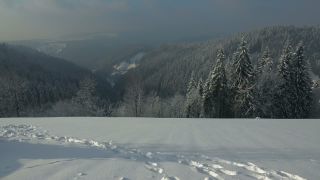 Link to Video | landscape, winter, landscape element, Germany, season, landform, Black Forest, mountain range, Mittelgebirge, nature, Baden-Württemberg
