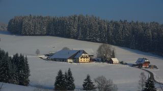 Link to Video | landscape, winter, landscape element, Germany, season, landform, Black Forest, mountain range, Mittelgebirge, nature, Baden-Württemberg