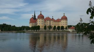Link to Video | tourist destination, Saxony, Germany, lake, Moritzburg, tourist attraction, architectural structure, Moritzburg, Moritzburg