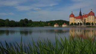 Link to Video | tourist destination, Saxony, Germany, lake, Moritzburg, tourist attraction, architectural structure, Moritzburg, Moritzburg