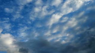 Link to Video