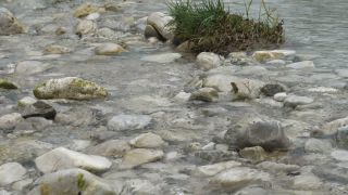 Link to Video | Isar, landscape, landscape element, landform, Isartal, watercourse, valley, river, Wallgau, natural watercourse, Oberes Isartal, nature, Bavaria