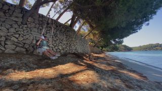 Link to Video | tree, vacation, fun, leisure, recreation, Stein, wall, paid time off, Mallorca, joy
