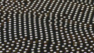 Link to Video | food manufacturer, brewery, manufacturer, Germany, beer, food industry, Warsteiner, factory