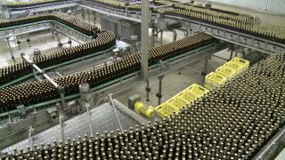 Link to Video | food manufacturer, brewery, manufacturer, Germany, beer, food industry, Warsteiner, factory