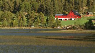 Link to Video | landscape, landscape element, Norway, Scandinavia, landform, Northern Europe, Europe, nature