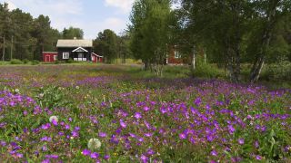 Link to Video | landscape, tourist destination, Norway, Scandinavia, Northern Europe, Europe, tourist attraction, tourism destination, point of interest