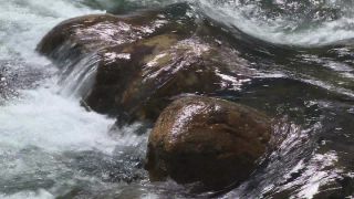 Link to Video | lake, water